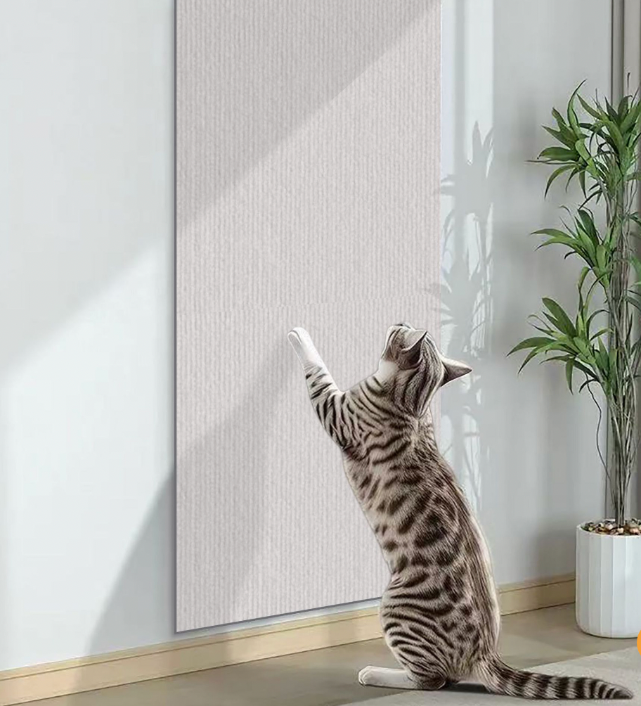 Stylish Cat Scratch Protector